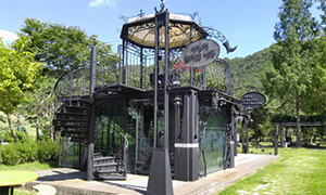 사랑이 꽃피는 나무 [이미지]