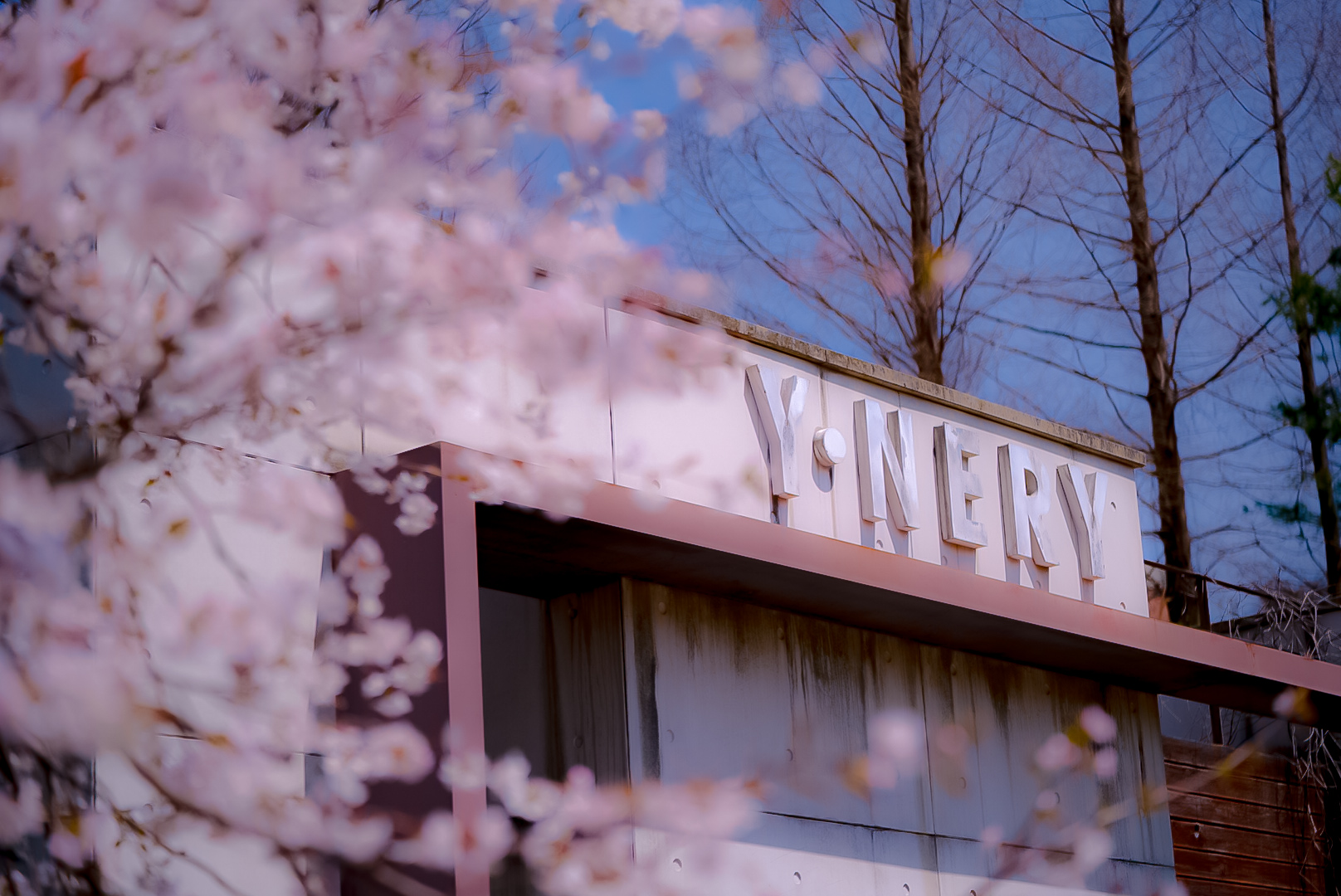 와인사이언스학과 정일권 학생의 유원사진 공모전 금상 수상 소식