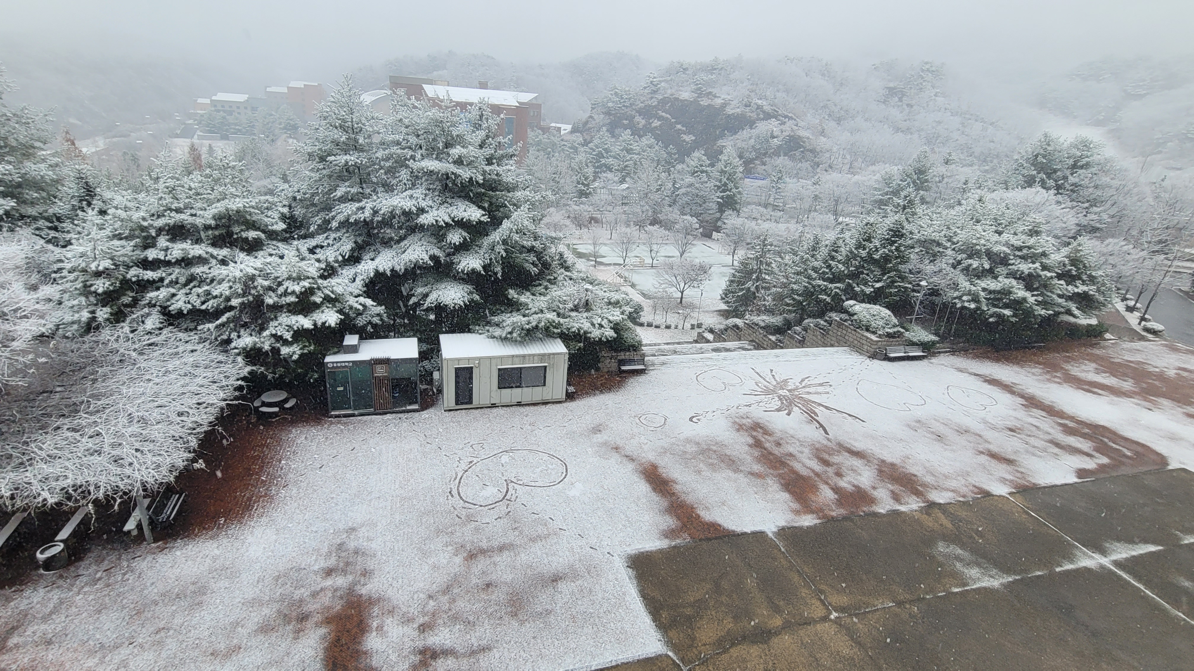 사진의 설명을 넣어 주세요